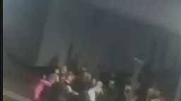 أخبار مصر