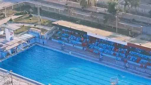 أخبار مصر
