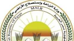 أخبار مصر
