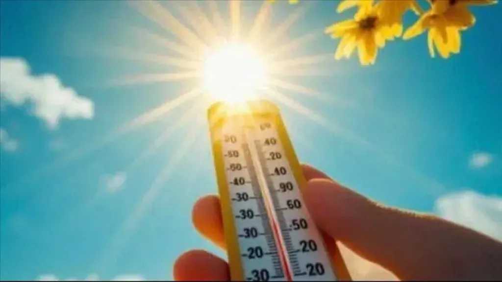 أخبار مصر