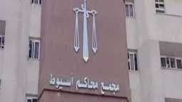أخبار مصر