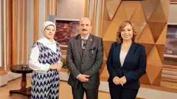 فن