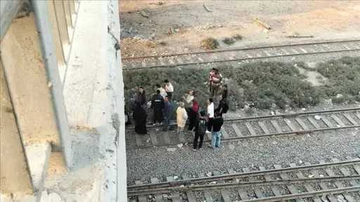 أخبار مصر