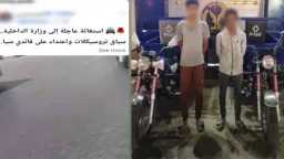 أخبار مصر