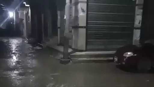 أخبار مصر