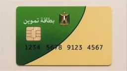 أخبار مصر