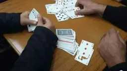 أخبار مصر