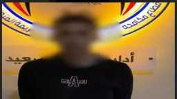 أخبار مصر