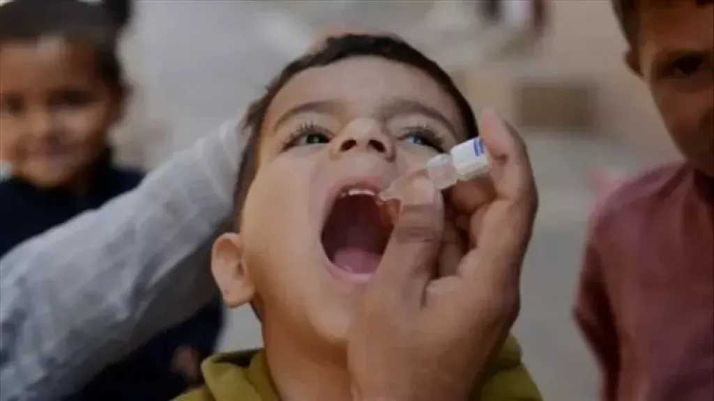 أخبار مصر