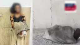 أخبار مصر