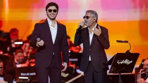 فن