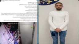 أخبار مصر