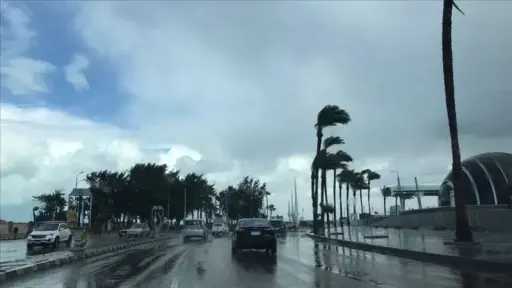 أخبار مصر