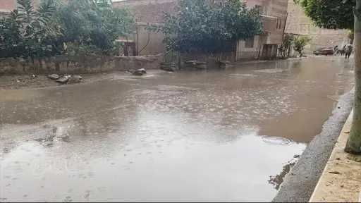 أخبار مصر