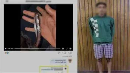 أخبار مصر