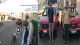 أخبار مصر