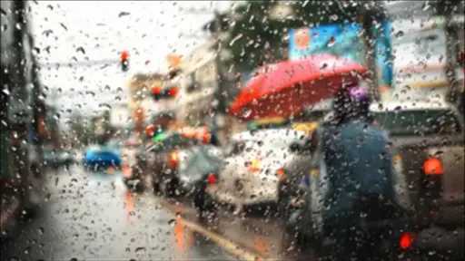 أخبار مصر