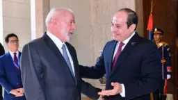 أخبار مصر