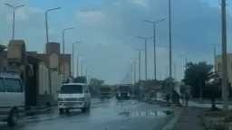أخبار مصر