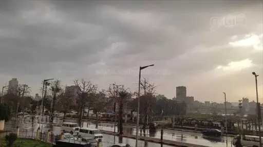 أخبار مصر