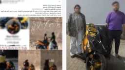 أخبار مصر