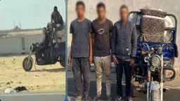 أخبار مصر