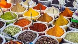 أخبار مصر
