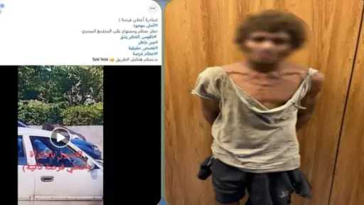 أخبار مصر