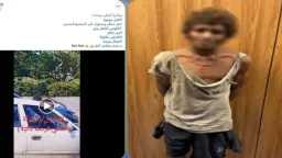 أخبار مصر