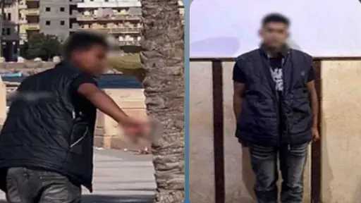 أخبار مصر