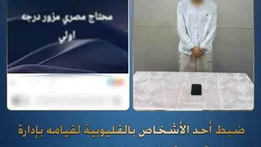 أخبار مصر
