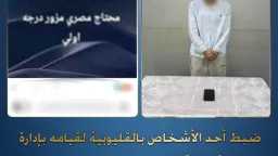 أخبار مصر
