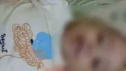 أخبار مصر