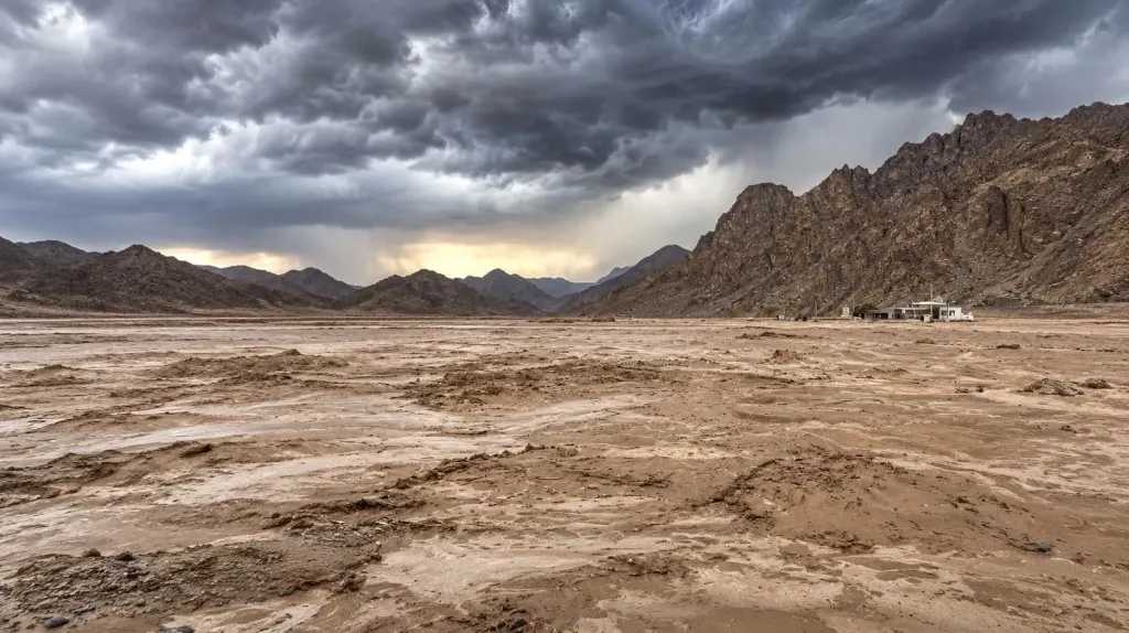 أخبار مصر