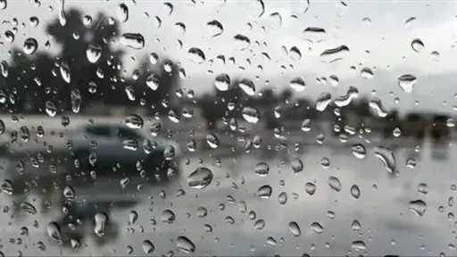 أخبار مصر