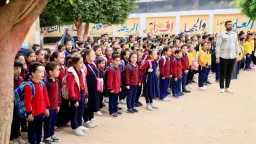أخبار مصر