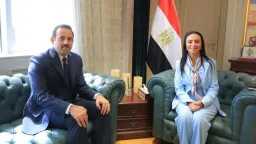 أخبار مصر