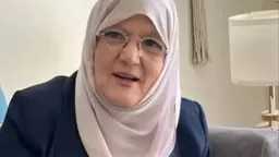 فن