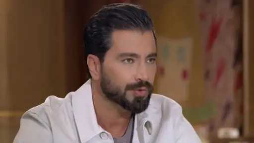 فن