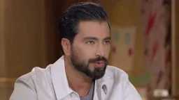 فن