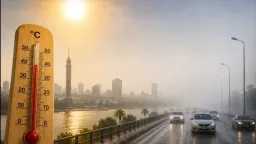 أخبار مصر