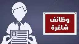 أخبار مصر