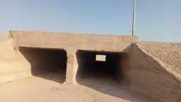أخبار مصر