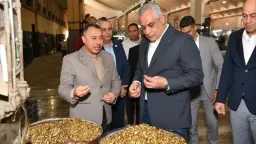 أخبار مصر