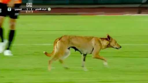رياضة
