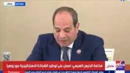 أخبار مصر
