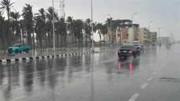 تريندات