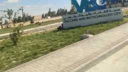 اقتصاد