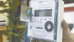 أخبار مصر