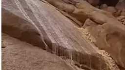 عربي ودولي